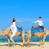 bali-camel-safari-prewedding