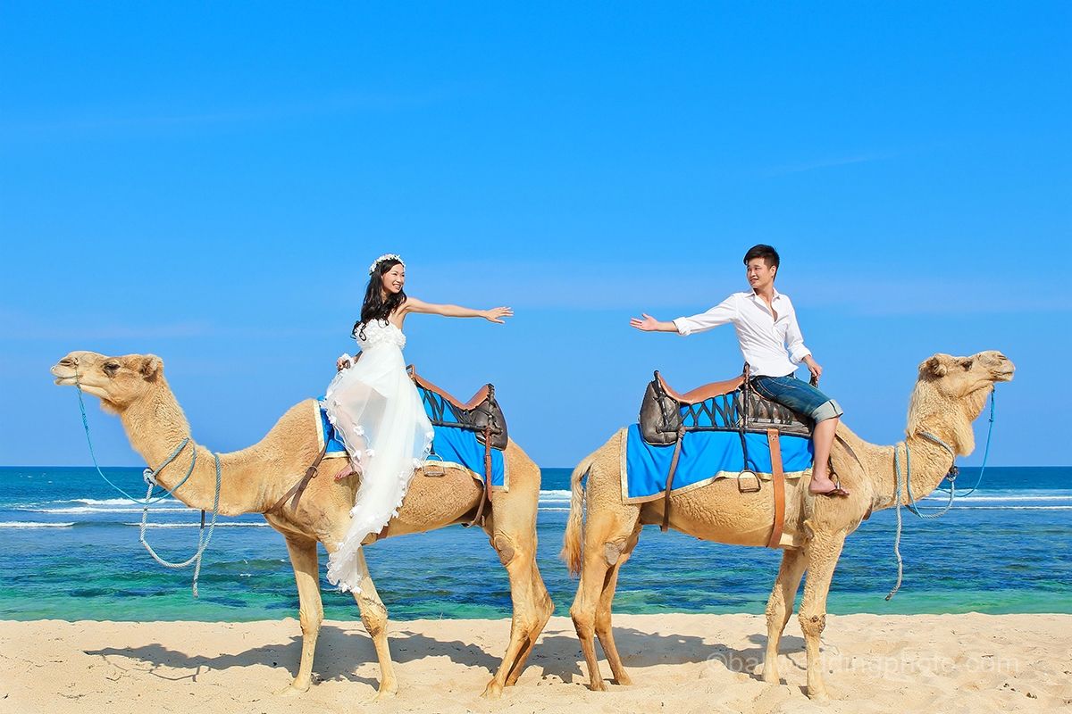 Promo Bali Camel Safaris Murah Harga Termurah Di Korina Tour
