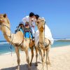 camel-nikko