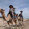 our-camel-safari-bali-indonesia+1152_12943507767-tpfil02aw-14234