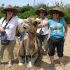 our-camel-safari-bali-indonesia+1152_12943529117-tpfil02aw-23643