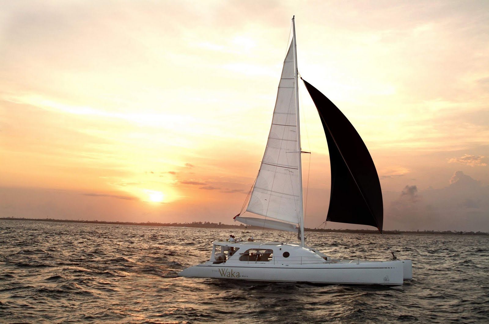 Wakasailing Cruise