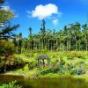 South-East-Botanical-Gardens-Okinawa-Japan