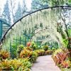 National Orchid Singapore (1)