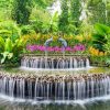 National Orchid Singapore (7)