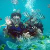 Tiket-Diving-Tanjung-Benoa-Bali266